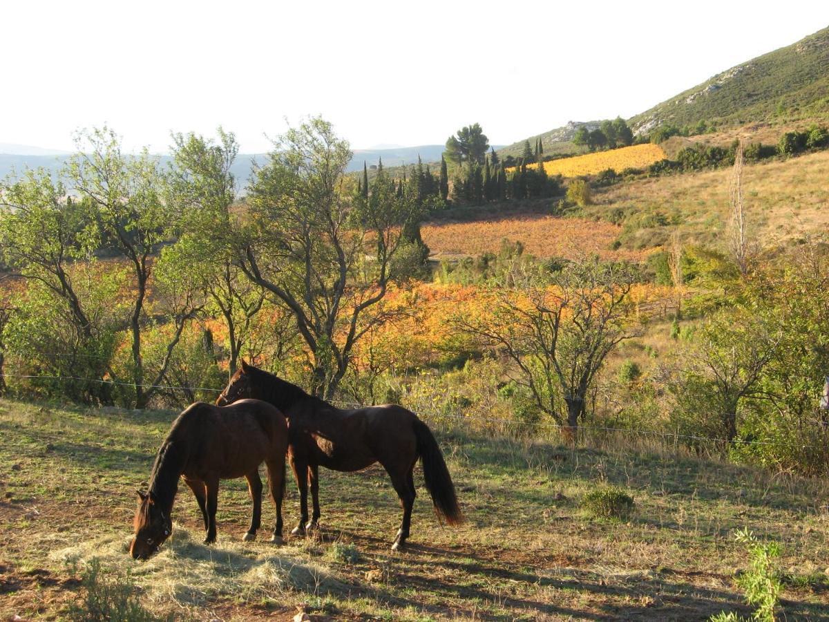 Chambres D'Hotes Gite Saint Roch Tuchan Εξωτερικό φωτογραφία